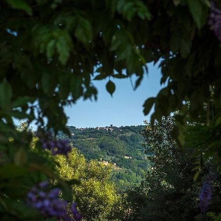 Villa Montaperti - Toscanaonehh Вольтерра Экстерьер фото