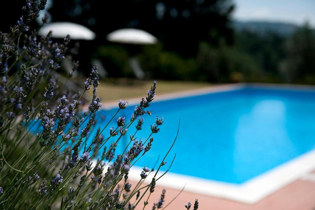 Villa Montaperti - Toscanaonehh Вольтерра Экстерьер фото